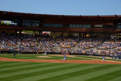 DSC_1521 (Large).JPG